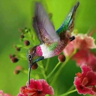 棋牌游戏下载手机版